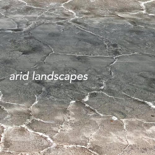 Label Signal Chain Records, Canada, 2025