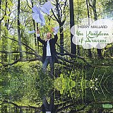 Thierry MAILLARD : "The Kingdom of Arwenn"
