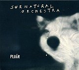 SURNATURAL ORCHESTA : "Pluir"