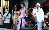 Bal de l'Afrique Enchantée - Vannes, juillet 2014