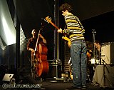 Misja Fitzgerald-Michel trio