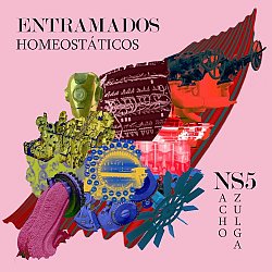 Nacho Szulga NS5 : Entramados Homeostáticos