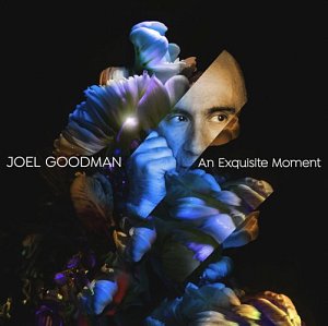 Joel Goodman . An Exquisite Moment