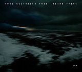 Tord Gustavsen Trio - "being there"