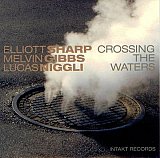 Elliott Sharp / Melvin Gibbs / Lucas Niggli : "Crossing the Waters"