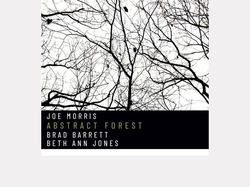 JOE MORRIS . Abstract Forest