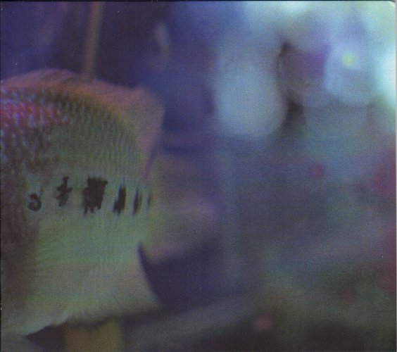 NICOLA HEIN / NICOLAS SOUCHAL . Fier tel tonne