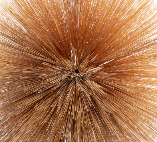 Label Pyroclastic Records, USA, 2025