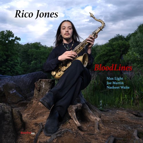 Label Giant Step Arts, USA, 2025