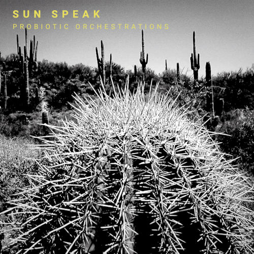 Label Whirlwind Recordings, UK, 2025