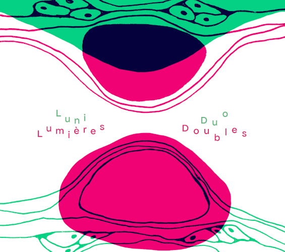 Petit Label, Collection petit Label Blanc, Normandie, France, 2025