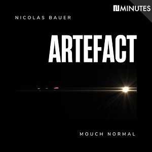 Nicolas Bauer Artefact . Mouch Normal