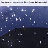 Tord GUSTAVSEN : "What was said"