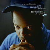Ambrose AKINMUSIRE : "the imagined savior is far easier to paint"