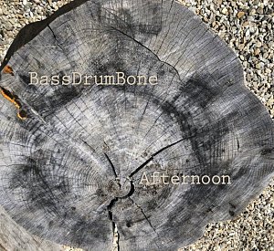 BASSDRUMBONE . Afternoon, label Auricle Records, 2024