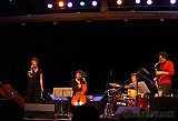 Vincent Courtois quartet