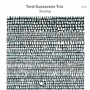TORD GUSTAVSEN TRIO . Seeing, ECM records, 2024