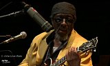 James "Blood" Ulmer - Festival Sons d'Hiver 2013