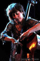 Hélène Labarrière à Dijon - février 2014.