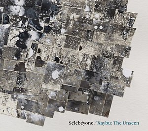 Steve Lehman & Sélébéyone . Xaybu : The Unseen