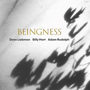 DAVE LIEBMAN - BILLY HART - ADAM RUDOLPH . Beingness, label Meta - Defkaz, USA, 2025