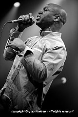 Napoleon Maddox