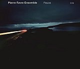 Pierre Favre Ensemble "Fleuve"