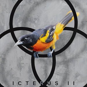 STEF.IN . Icterus II, Barnyard Records, Canada, 2025