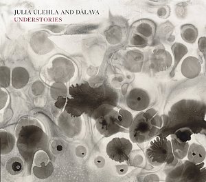 JULIA ÚLEHLA & DÁLAVA . Understories, label Pi Recordings, USA, 2025