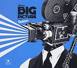 David KRAKAUER : "The Big Picture"
