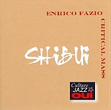 Enrico Fazio Critical Mass : "Shibui"