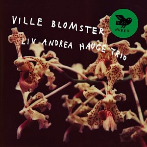 LIV ANDREA HAUGE TRIO . Ville blomster, album Label Hubro, Norvège 2024