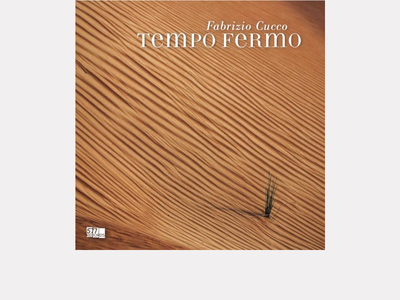 FABRIZIO CUCCO . Tempo Fermo