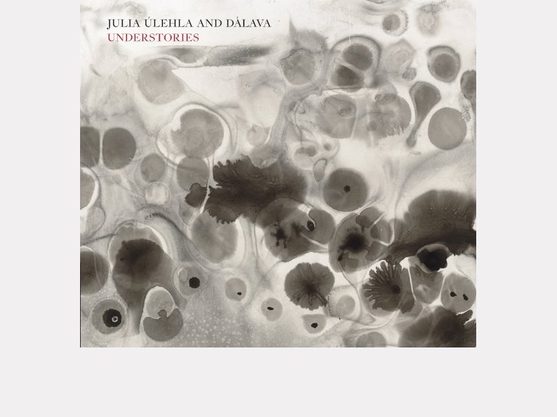 JULIA ÚLEHLA & DÁLAVA . Understories
