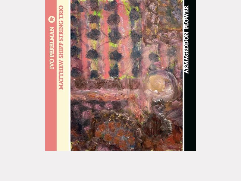 IVO PERELMAN & MATTHEW SHIPP STRING TRIO . Armageddon Flower