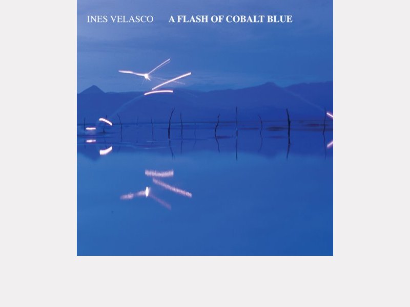 INES VELASCO . A Flash Of Cobalt Blue