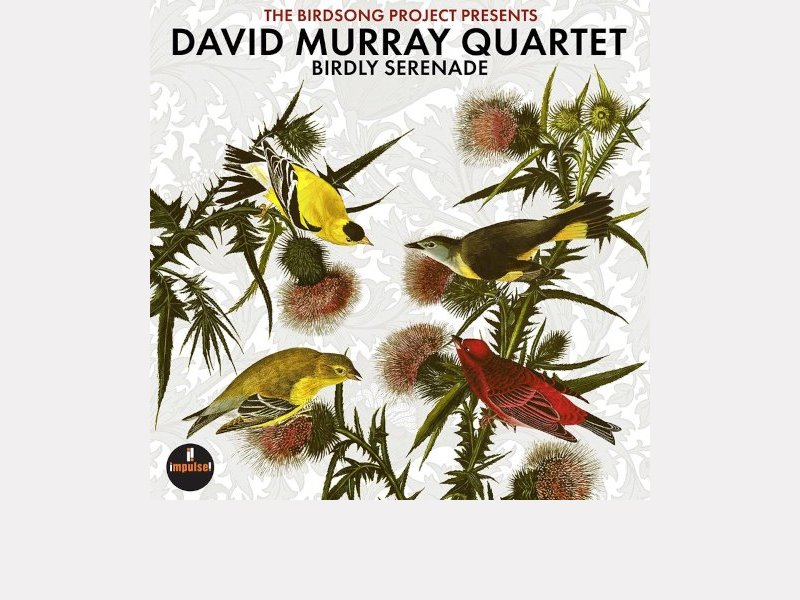 DAVID MURRAY QUARTET . Birdly Serenade