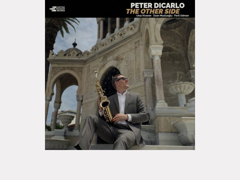 PETER DICARLO . The Other Side