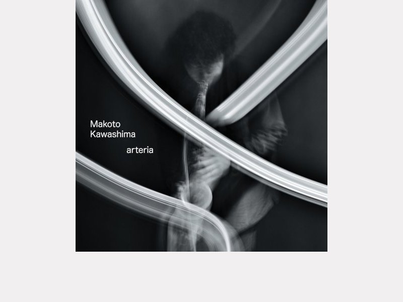 MAKOTO KAWASHIMA . arteria