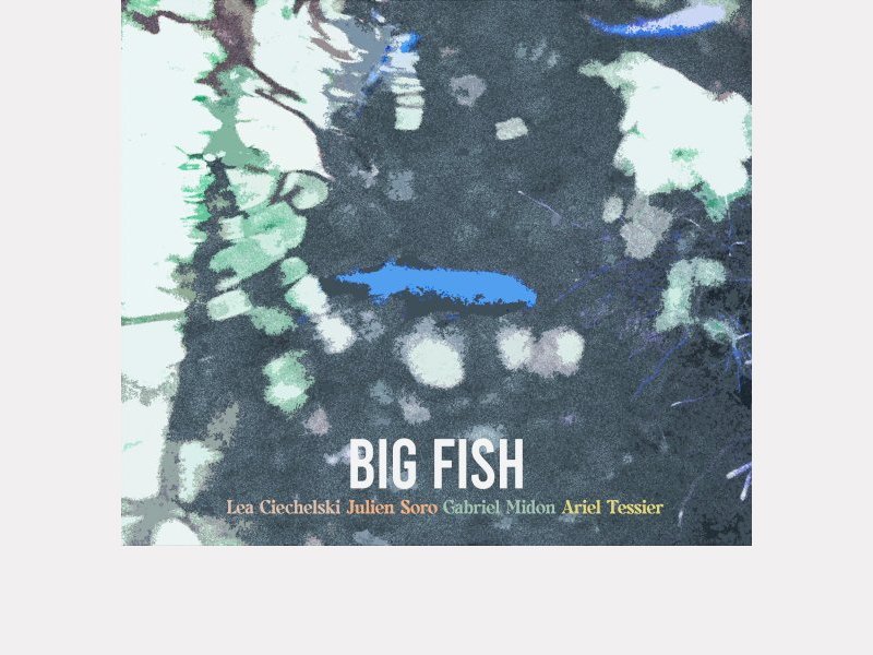 BIG FISH : JULIEN SORO - LÉA CIECHELSKI - GABRIEL MIDON - ARIEL TESSIER . Big Fish